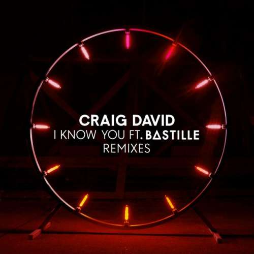 I Know You (feat. Bastille) - Vigiland Remix